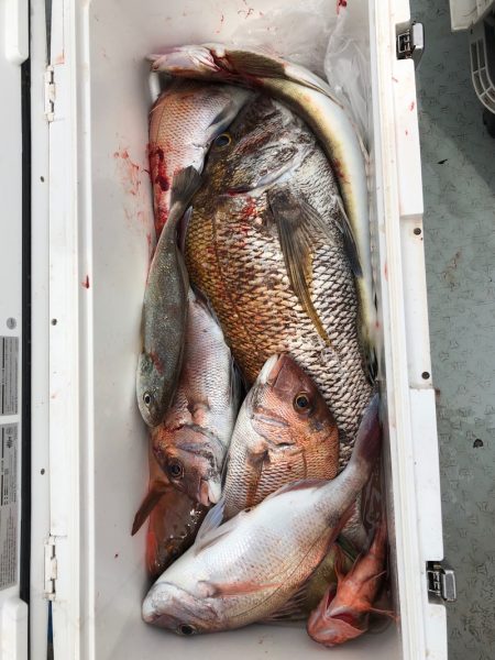 フィッシング キッタカ 釣果