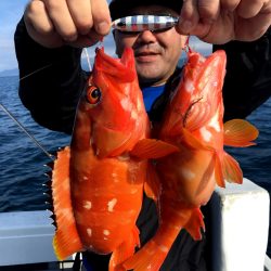 渡船屋たにぐち 釣果