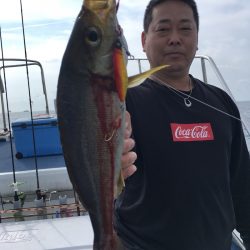 渡船屋たにぐち 釣果