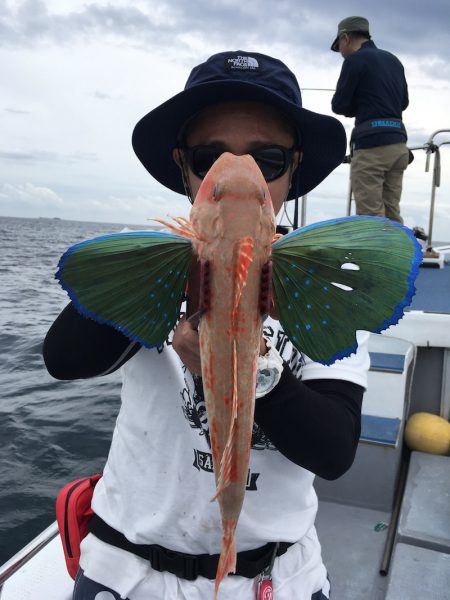 渡船屋たにぐち 釣果
