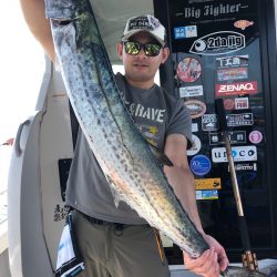 ビッグファイター 釣果