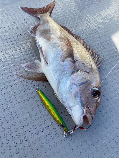 遊漁船ブルーウッズ 釣果