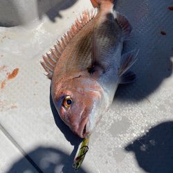 遊漁船ブルーウッズ 釣果