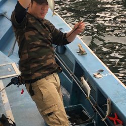 ヤザワ渡船 釣果