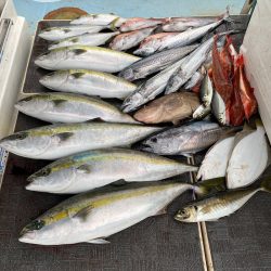 Monster Rush! 釣果