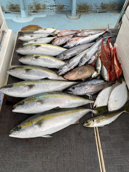 Monster Rush! 釣果