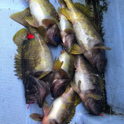 第二 つれたか丸 釣果