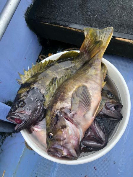 第二 つれたか丸 釣果
