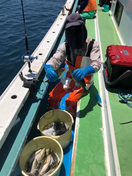 丸万釣船 釣果