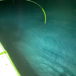 あみや渡船 JIGBOY 釣果