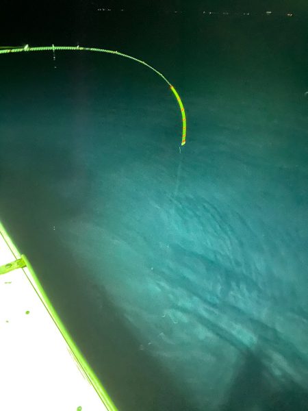 あみや渡船 JIGBOY 釣果