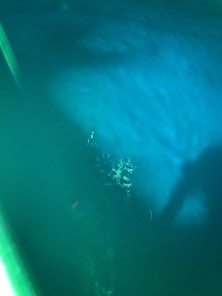 あみや渡船 JIGBOY 釣果