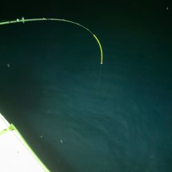 あみや渡船 JIGBOY 釣果