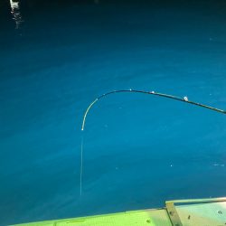 あみや渡船 JIGBOY 釣果