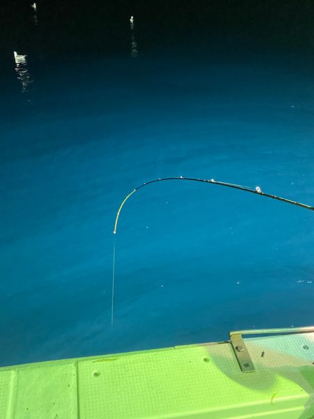 あみや渡船 JIGBOY 釣果