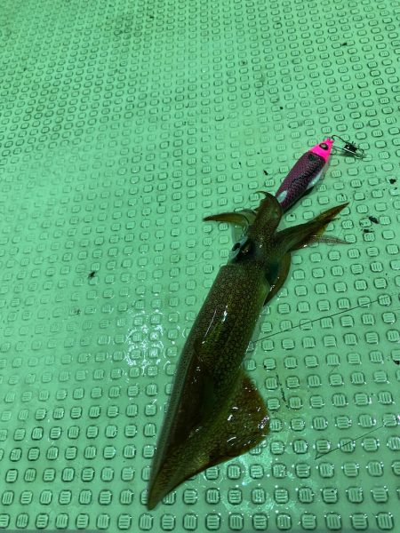 あみや渡船 JIGBOY 釣果