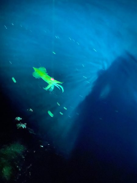 あみや渡船 JIGBOY 釣果