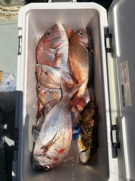 フィッシング　キッタカ 釣果