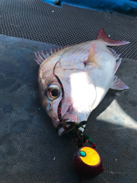 太平丸 釣果