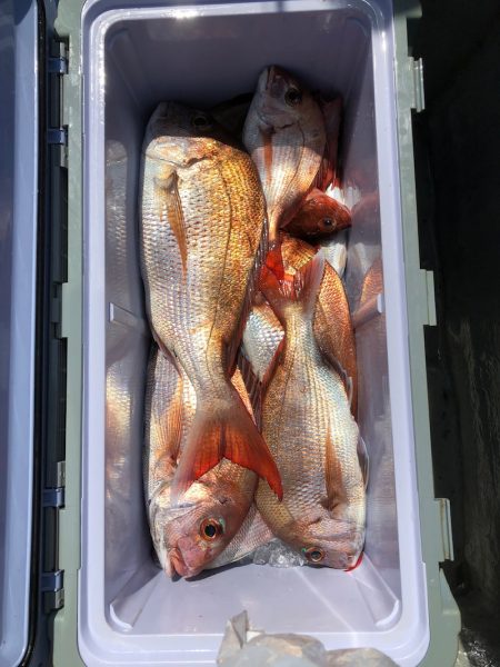 フィッシング キッタカ 釣果