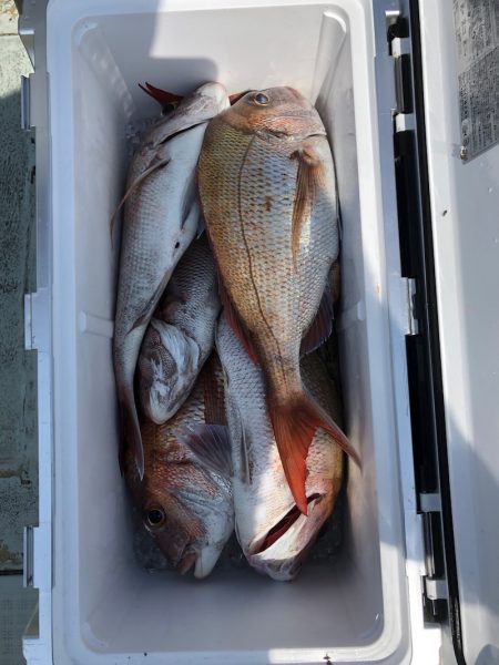 フィッシング キッタカ 釣果