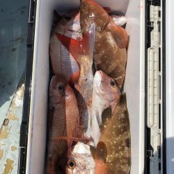 フィッシング キッタカ 釣果