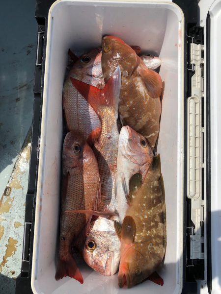 フィッシング キッタカ 釣果