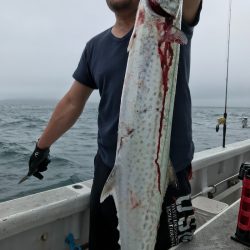 ランスルー 釣果