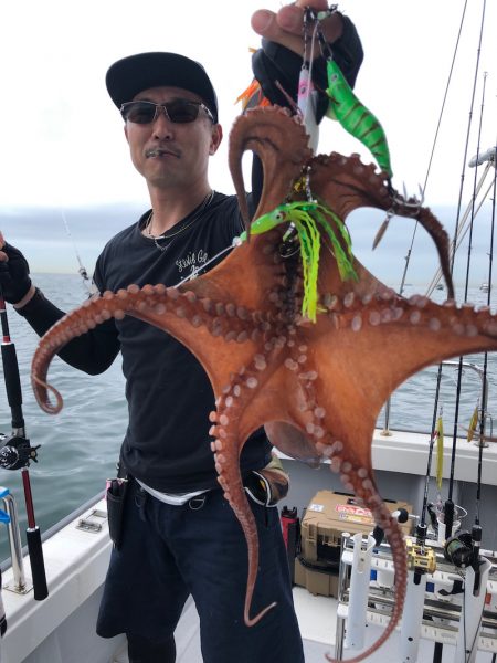 ビッグファイター 釣果