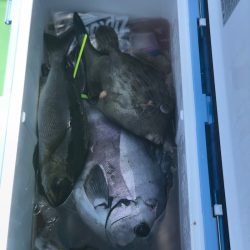 丸万釣船 釣果