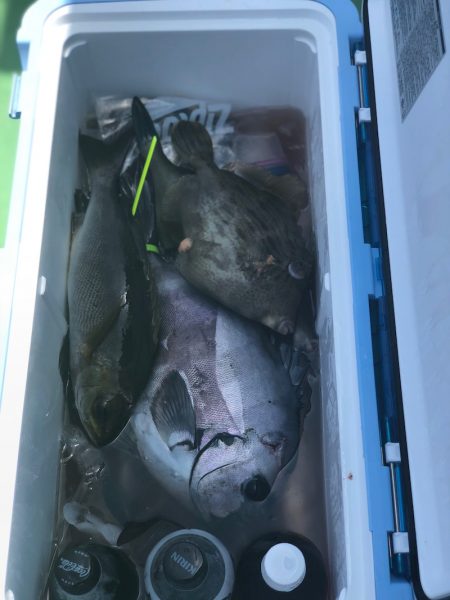 丸万釣船 釣果