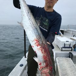 ランスルー 釣果