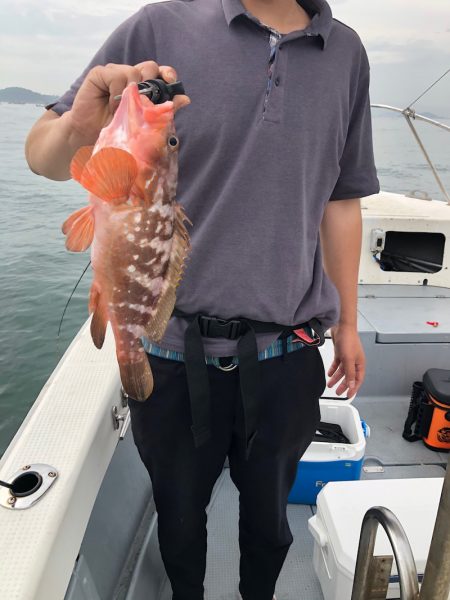 遊漁船高橋 釣果