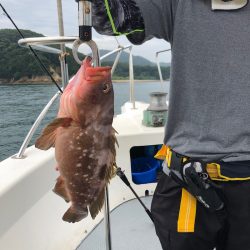 遊漁船高橋 釣果