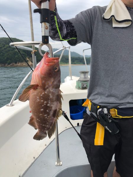遊漁船高橋 釣果