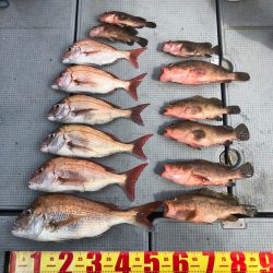 遊漁船高橋 釣果