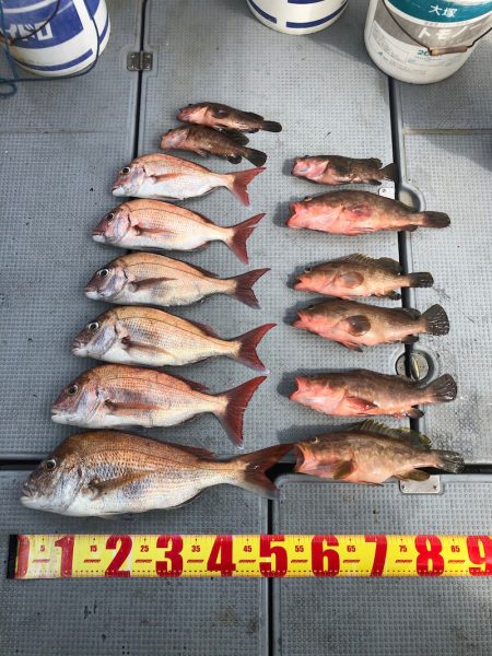 遊漁船高橋 釣果