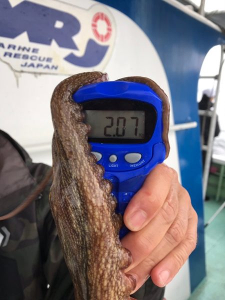 ヤザワ渡船 釣果