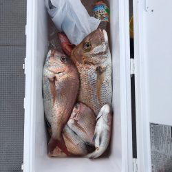 遊漁船高橋 釣果