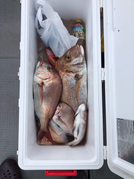 遊漁船高橋 釣果