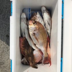 遊漁船高橋 釣果
