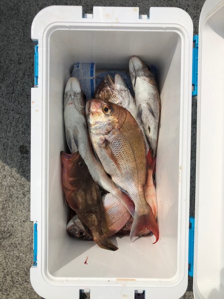 遊漁船高橋 釣果
