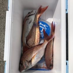 遊漁船高橋 釣果