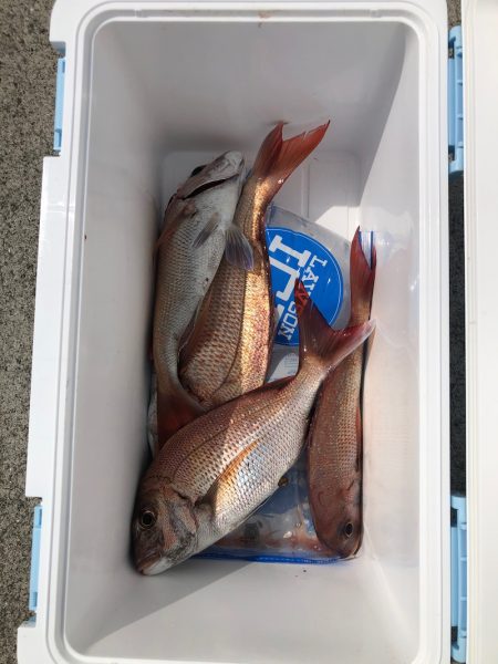 遊漁船高橋 釣果