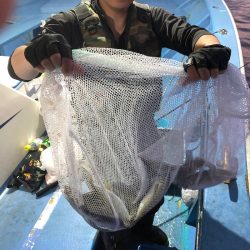 ヤザワ渡船 釣果