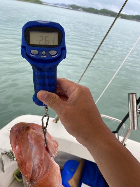 末広丸(熊本) 釣果