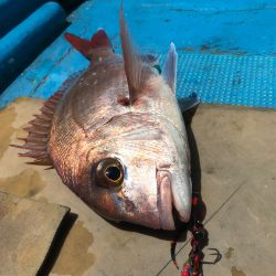 太平丸 釣果