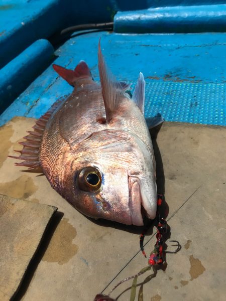 太平丸 釣果
