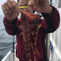 渡船屋たにぐち 釣果