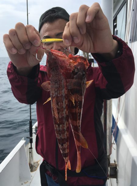 渡船屋たにぐち 釣果